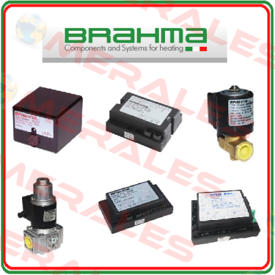 1393200 EG25*L.3*GMO Brahma