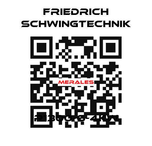 R1300-6-4KW Friedrich Schwingtechnik