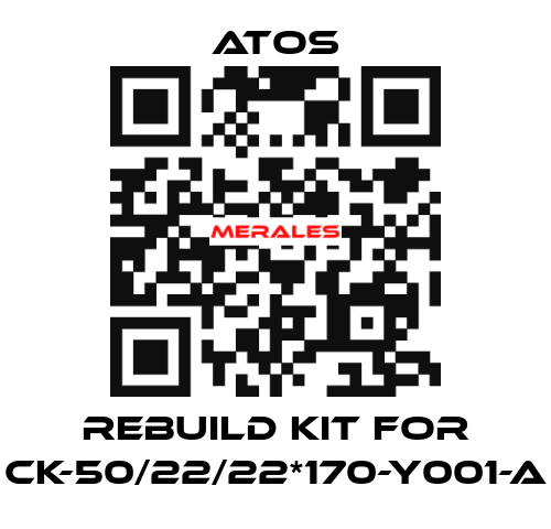rebuild kit for CK-50/22/22*170-Y001-A Atos