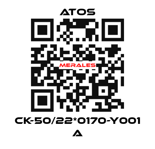CK-50/22*0170-Y001 A Atos