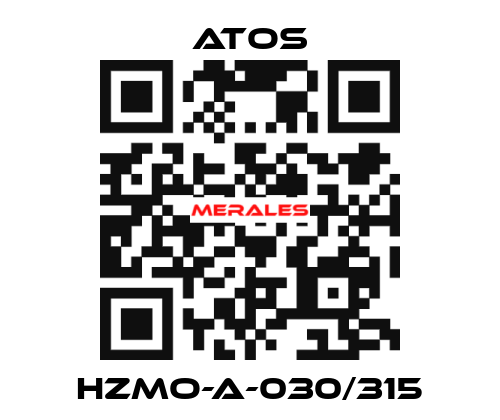 HZMO-A-030/315 Atos
