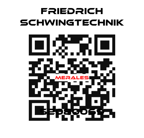 52080069 Friedrich Schwingtechnik