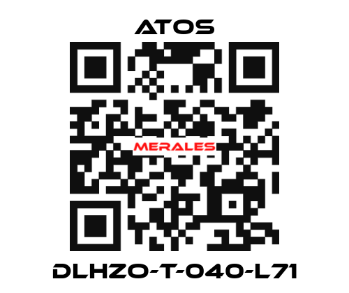 DLHZO-T-040-L71 Atos