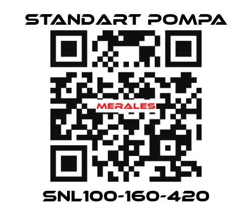 SNL100-160-420 STANDART POMPA