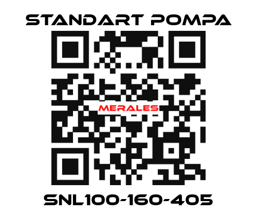 SNL100-160-405 STANDART POMPA
