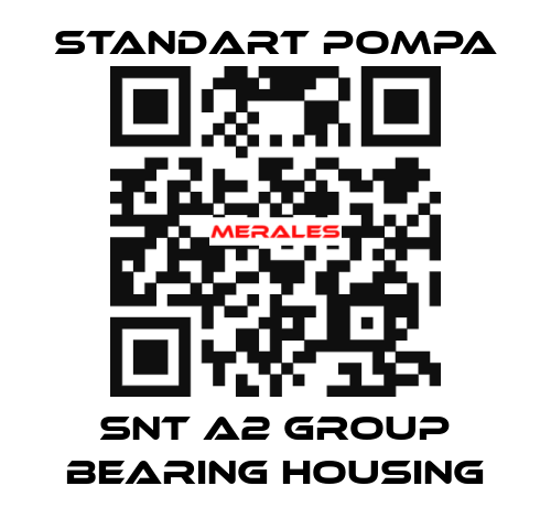 SNT A2 GROUP BEARING HOUSING STANDART POMPA