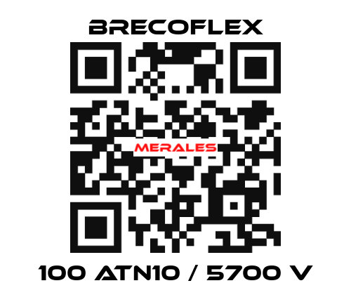 100 ATN10 / 5700 V Brecoflex