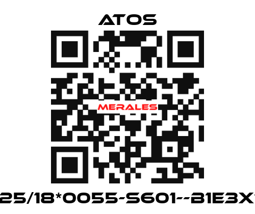 CK-25/18*0055-S601--B1E3X1Z3 Atos