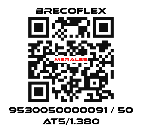 9530050000091 / 50 AT5/1.380 Brecoflex