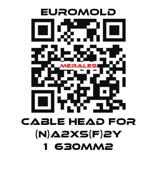 Cable head for (N)A2XS(F)2Y 1х630mm2 EUROMOLD
