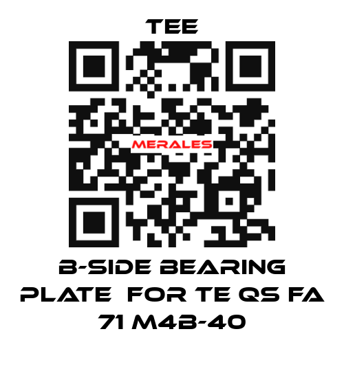 B-side bearing plate  for TE QS FA 71 M4B-40 TEE
