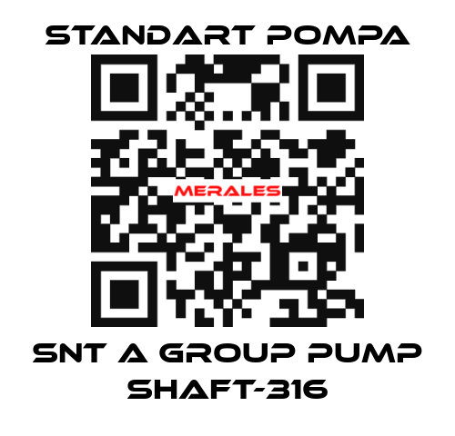 SNT A GROUP PUMP SHAFT-316 STANDART POMPA