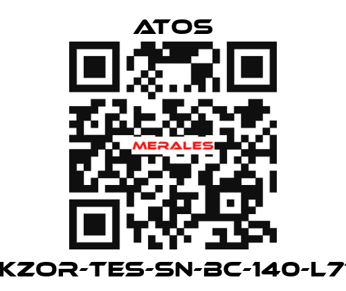 DLKZOR-TES-SN-BC-140-L71/Y Atos