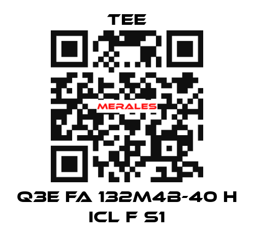 Q3E FA 132M4B-40 H Icl F S1 TEE