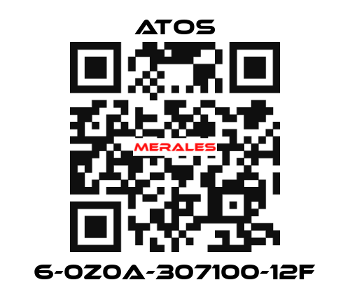 6-0Z0A-307100-12F Atos