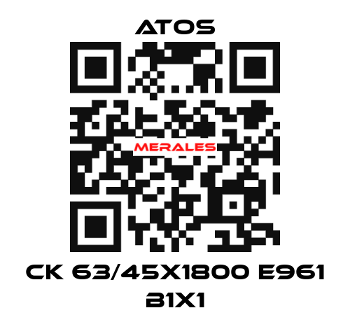CK 63/45X1800 E961 B1X1 Atos
