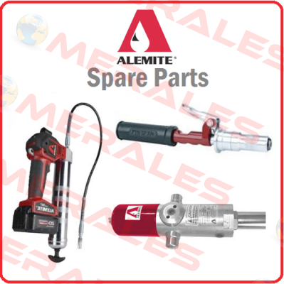 339359-C1 (for 200kg) Alemite