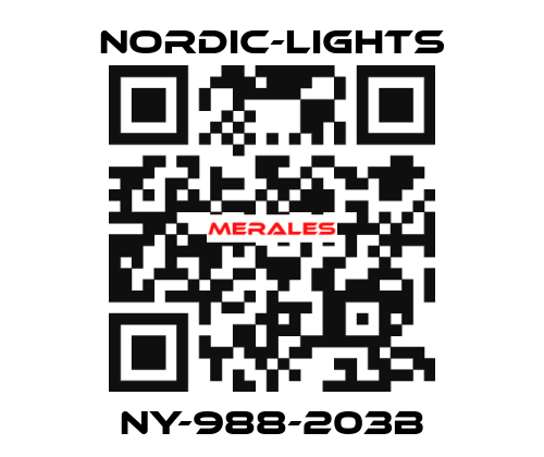 NY-988-203B nordic-lights