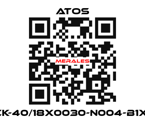 CK-40/18X0030-N004-B1X1 Atos