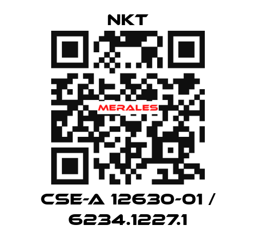 CSE-A 12630-01 / 6234.1227.1 NKT