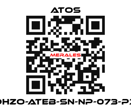 DHZO-ATEB-SN-NP-073-P3 Atos