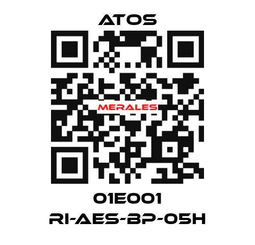 01E001 RI-AES-BP-05H Atos