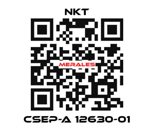 CSEP-A 12630-01 NKT
