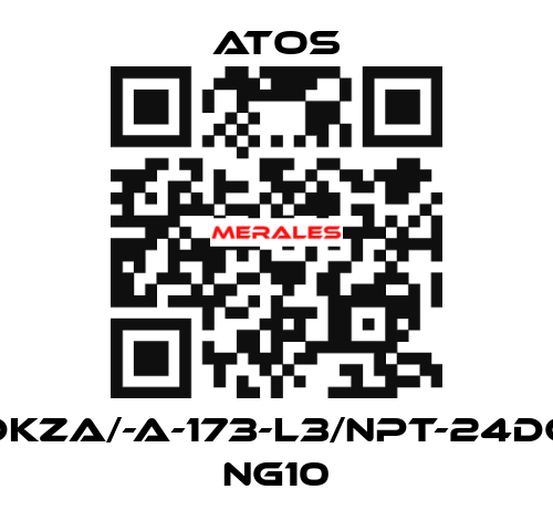 DKZA/-A-173-L3/NPT-24DC NG10 Atos