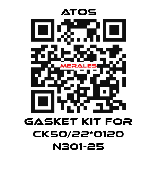 Gasket kit for CK50/22*0120 N301-25 Atos