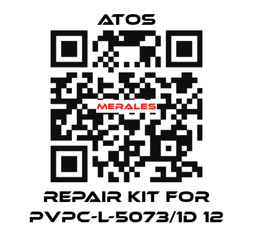 Repair kit for PVPC-L-5073/1D 12 Atos
