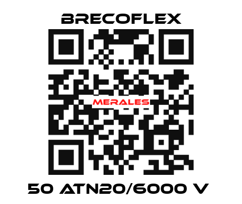 50 ATN20/6000 V  Brecoflex