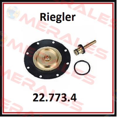22.773.4 / 100915 Riegler