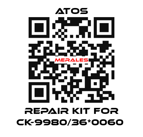 REPAIR KIT FOR CK-9980/36*0060  Atos