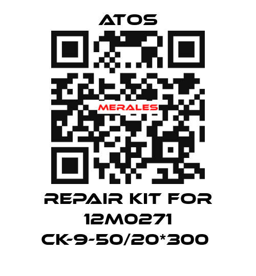 REPAIR KIT FOR 12M0271 CK-9-50/20*300  Atos