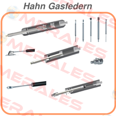 1096977 Hahn Gasfedern