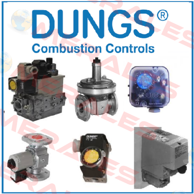 110379  Dungs