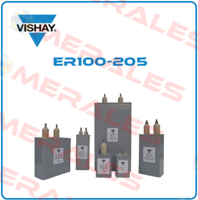 ER100-205 Vishay