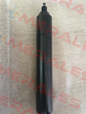 616405 Stabilus