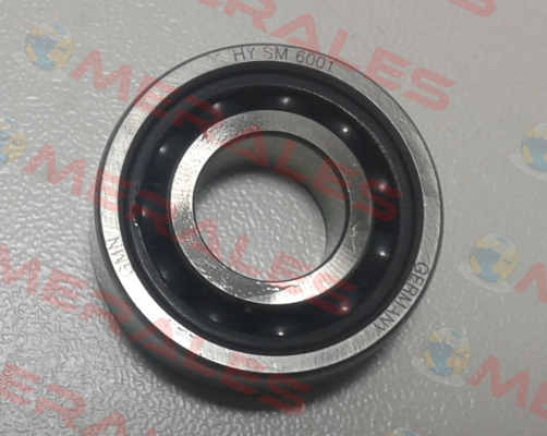 19HYSM6001CTAUP+DUL Gmn
