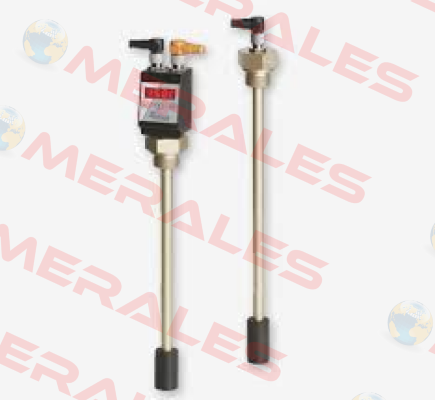NT M-MS-G3/4-M12/250-2K (000069598) Bühler Technologies