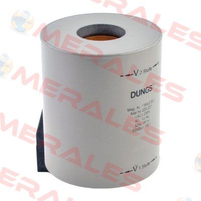225167 Dungs