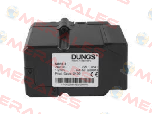 229813 / SAD1.2 Dungs