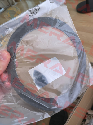 SEALING RING 45.60.7 (seal)  code 00001543 SITI