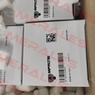 MF-180-1-A10-H-B-P01 MP Filtri