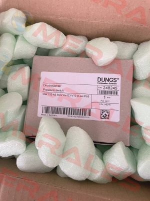 248245 / GW 150 A2 SGV AU-G3-V12 ST-SE Dungs