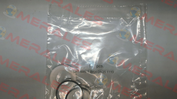 Gasket set for BKH DN25 1113 Pister