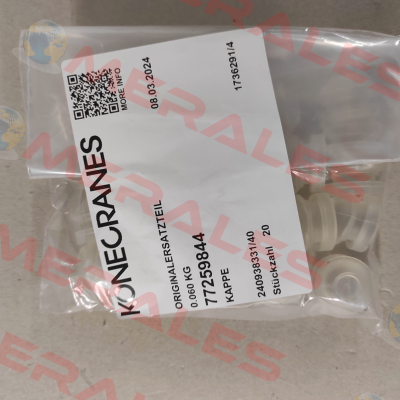 77259844 Demag