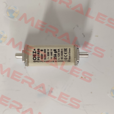 06636     P51R06 25A gR OEZ