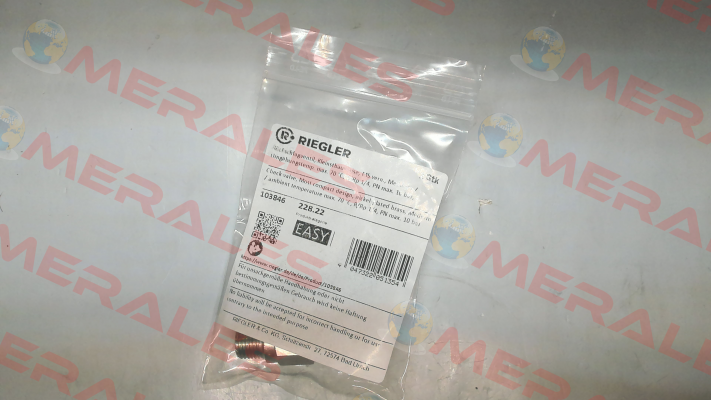 103846 / 228.22 Riegler
