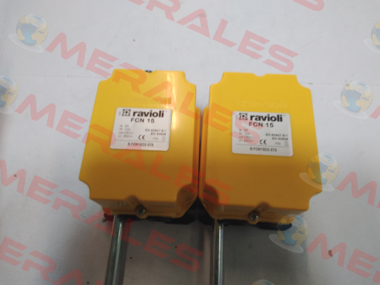 BFCN15D2-373 Ravioli
